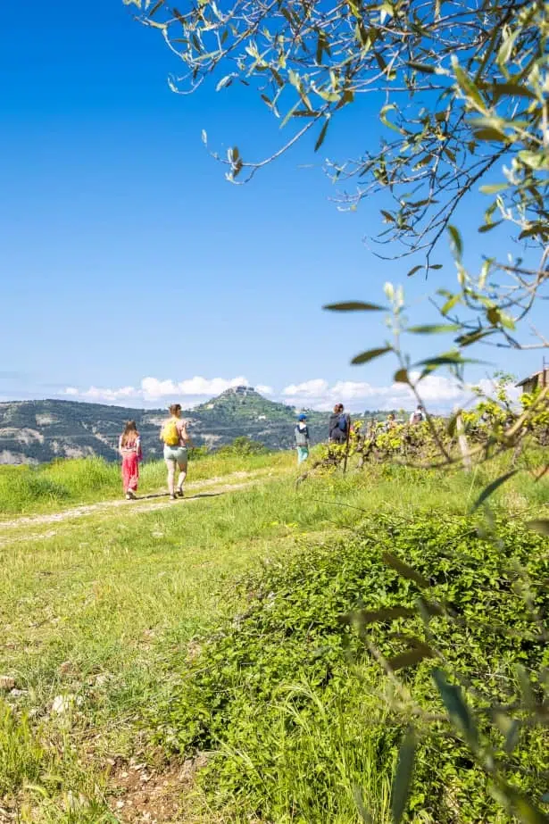Ardèche épicurienne rando gastronomique avec dégustation à Vallon Pont d'arc