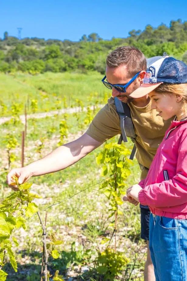 balade en famille activité rando gourmande avec guide ardéchois